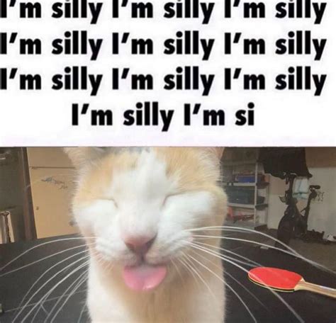 Silly Cats | Know Your Meme