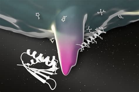 A deep learning approach to protein design - Institute for Protein Design