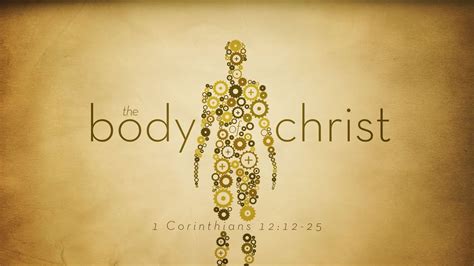 The Body of Christ (1 Corinthians 12:12-25) - 1 Corinthians 12:12-25 - Bible Portal