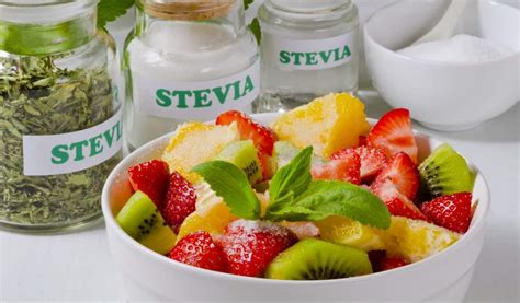 Best Stevia Products Reviewed and Rated in 2022 – TheFitBay