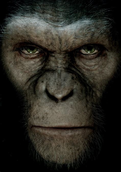 Rise Of The Planet Of The Apes Art - ID: 98465