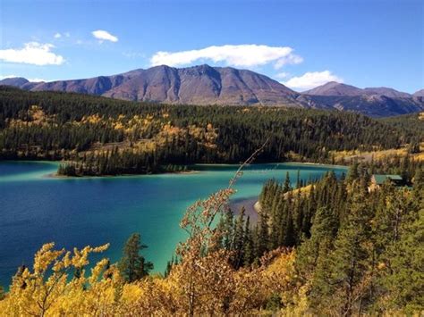 THE 15 BEST Things to Do in Whitehorse - UPDATED 2019 - Must See ...