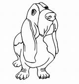 Dog Basset Coloring Pages sketch template