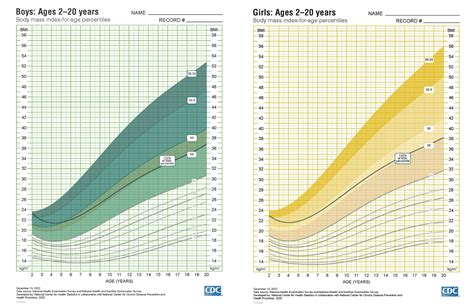 6 Big Questions on CDC’s New BMI Charts to Measure Severe Obesity in Children - Salud America