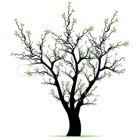 Spring Tree Drawing at GetDrawings | Free download