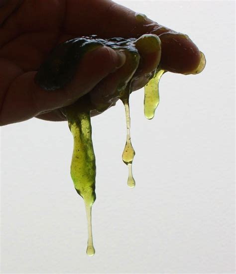 Make Ectoplasm Slime for Halloween | Edible slime, Edible slime recipe ...