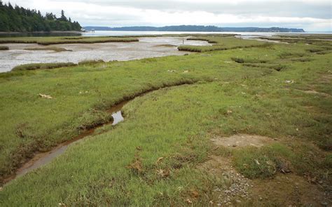 Urban Landscape, Native Landscape: Nisqually National Wildlife Refuge