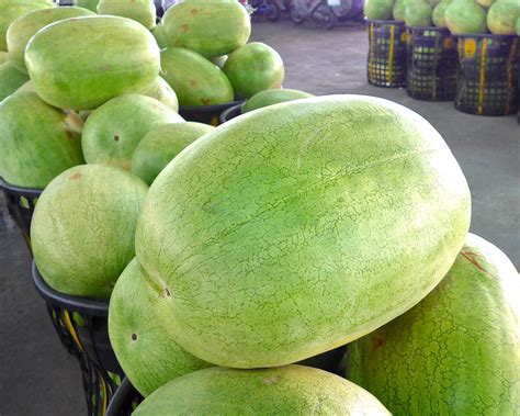 Desert King Watermelon - Food Gardening Network