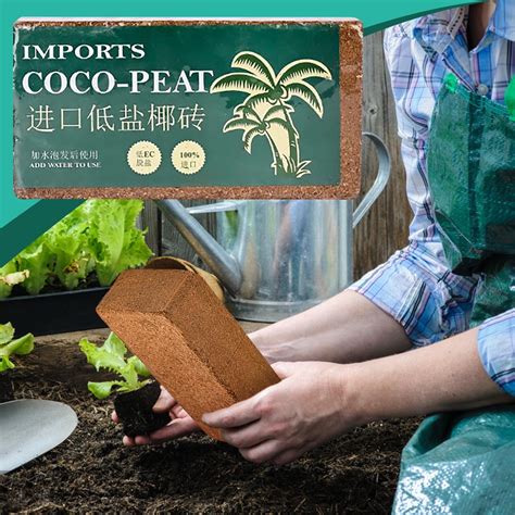 Coir Fiber Brick Substrate: Premium Soilless Growing Medium for Succulents, Vegetables & Flowers ...