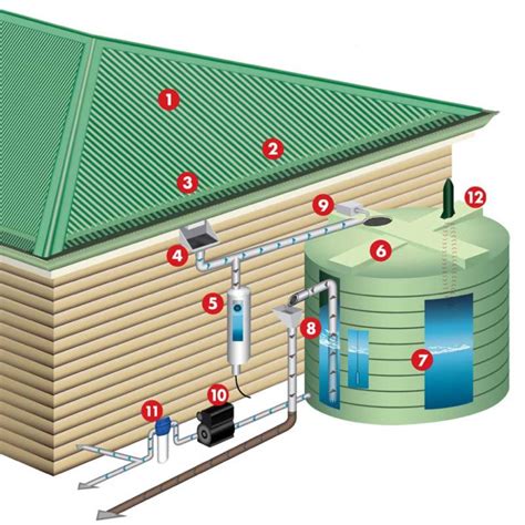 rainwater harvesting system diagram | Rain water collection, Rainwater harvesting system, Rain ...