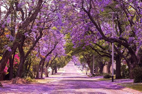 The Ten Most Beautiful Streets in the World - Falstaff