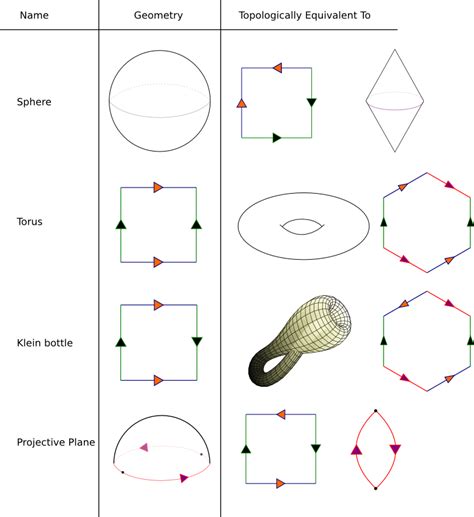 Orientable and Nonorientable Surfaces