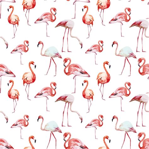 Cartoon Flamingo Wallpapers - Top Free Cartoon Flamingo Backgrounds ...