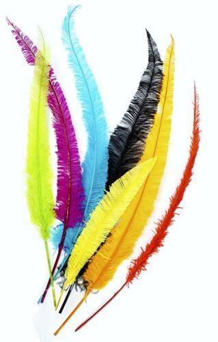 Ostrich NANDU Trimmed FEATHERS 18"-23" Quality PLUMES 10+ Colors To ...