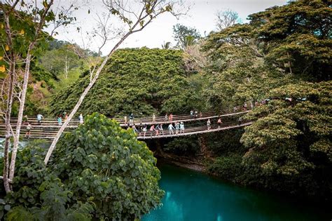 Bamboo Hanging Bridge, Bohol - what you need to know - Daily Travel Pill