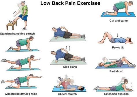 Lower Lumbar Exercises