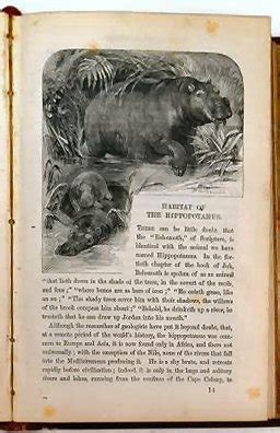 WILD SPORTS OF THE WORLD. A book of Natural History and Adventure. By James Greenwood: Author of ...