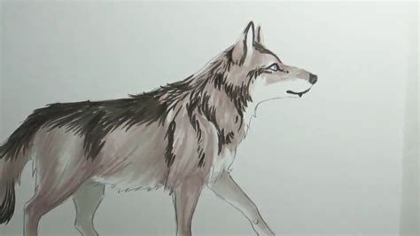 Coloring a Wolf with Copics - YouTube