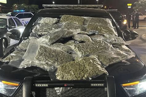 Lafayette Police Make Huge Drug Bust During Traffic Stop