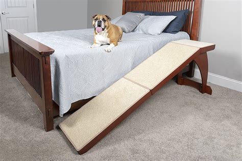 Outdoor Dog Ramp Clearance Seller, Save 52% | jlcatj.gob.mx