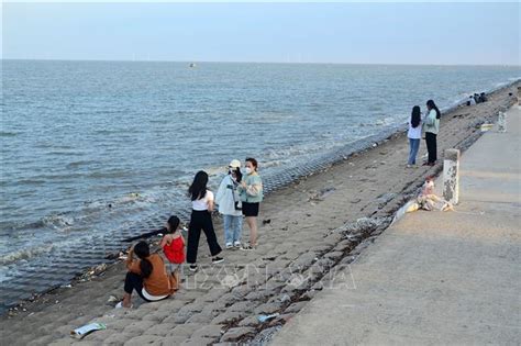 Tiền Giang: Khu du lịch biển Gò Công thu hút khách du lịch - Ảnh thời ...