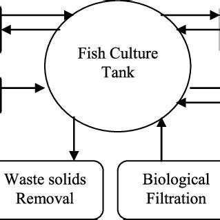 Recirculating aquaculture system components. | Download Scientific Diagram