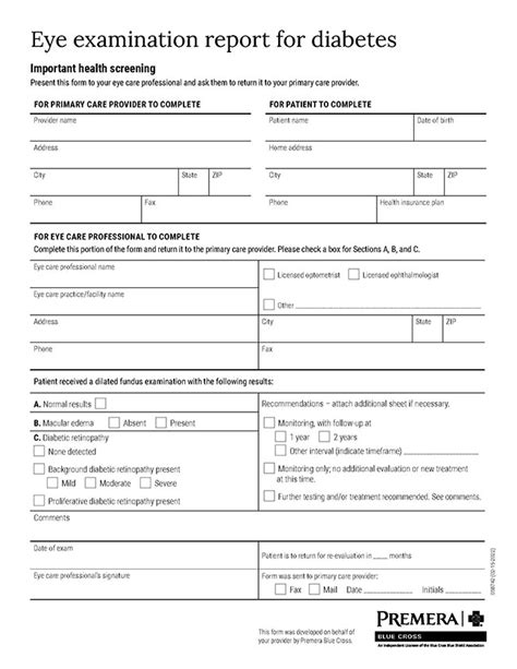 Tool for Documenting Diabetic Retinal Eye Exam Results | Provider ...