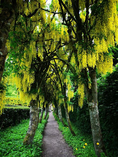 Cawdor Castle & Gardens | Great Gardens of the World