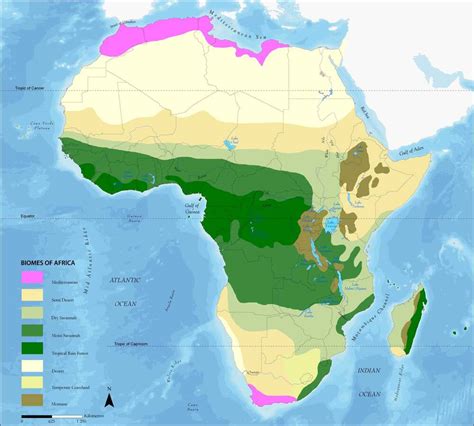 Biomes of Africa - Full size | Gifex