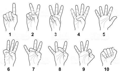 Hand sign language numbers - Royalty-free Sign Language stock vector ...