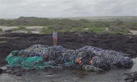 Kamilo Point on the Big Island is considered by researchers to be the dirtiest beach in the ...