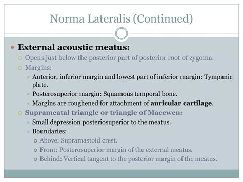 Anatomy head and neck(norma lateralis) | PPT