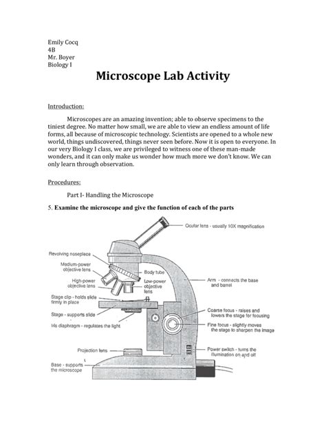 Biology Microscope Lab Worksheet | gestion-des-risques-interculturels.com