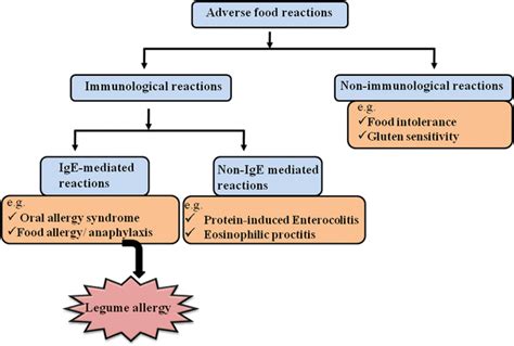 A Comprehensive Review of Legume Allergy | SpringerLink