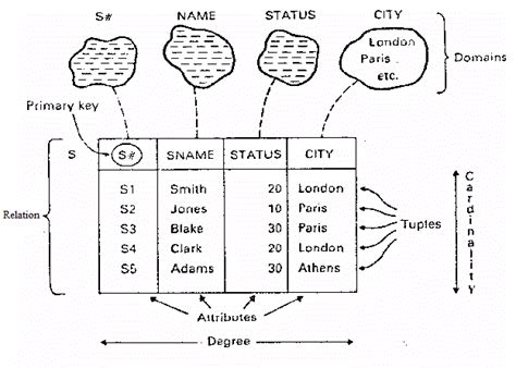 Cardinality trong Cơ sở dữ liệu là gì?