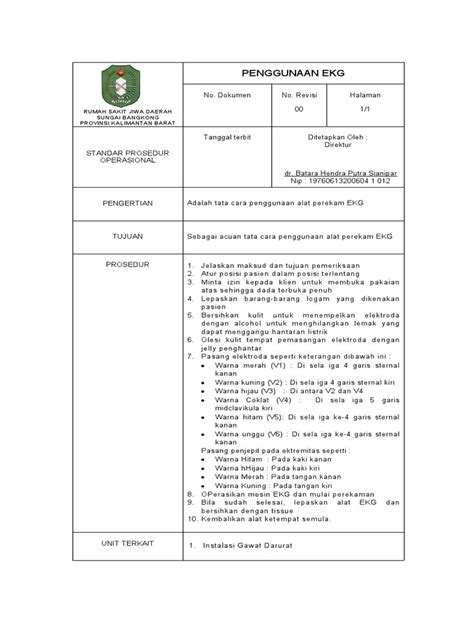 PENGGUNAAN ALAT EKG SECARA STANDAR DI RUMAH SAKIT JIWA | PDF