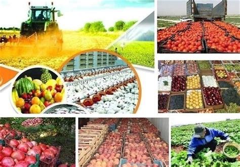 Iran’s Export of Food, Agricultural Products Up 20% in One Year - Economy news - Tasnim News Agency