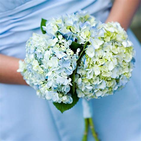 Blue Hydrangea Bouquet