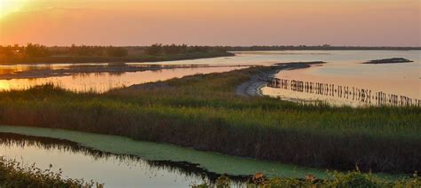 Excursion:Delta Po River - Holiday Village Florenz, Comacchio Emilia Romagna