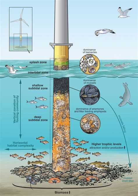 Offshore Wind Farm Artificial Reefs Affect Ecosystem Structure and Functioning: A Synthesis ...