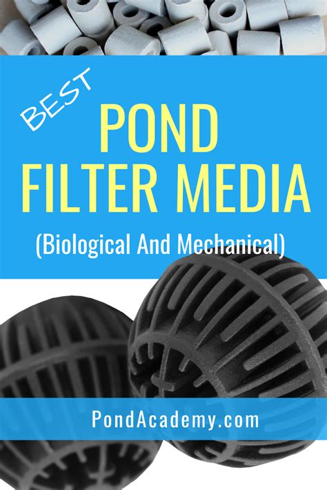 What's the best pond filter media for a clean and healthy pond? We review the best pond filter ...