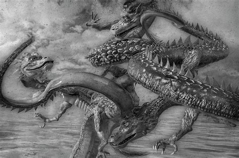 Chinese Dragons in Black and White Digital Art by Betsy Knapp - Pixels