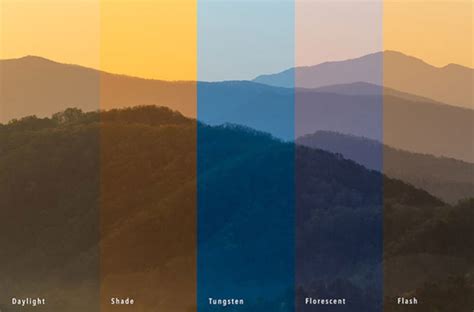 What is Color Temperature? (And How to Use it in Photography)