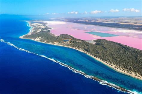 How an Australian lake turned bubble-gum pink - Australian Geographic