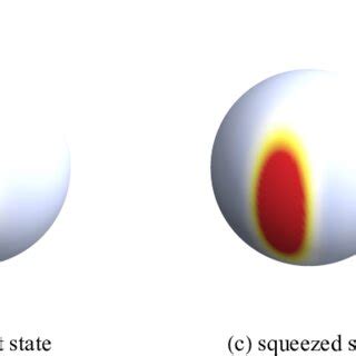 1: (a) The vector of internal magnetic moment (spin) is rotated by an ...