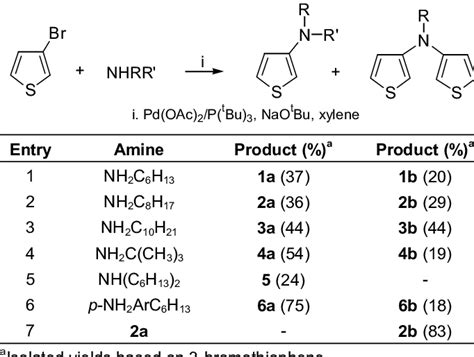 Synthesis of N-functionalized 3-Aminothiophenes | Download Table