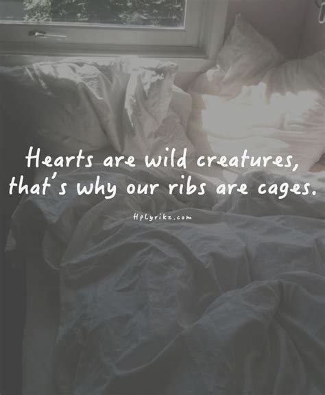 Wild At Heart Quotes. QuotesGram