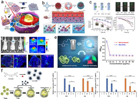 Carbon Dots: A New Type of Carbon-Based Nanomaterial with Wide Applications | ACS Central Science