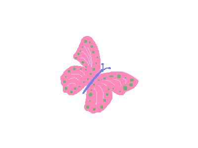 Butterfly Frame by Frame Animation by Anne on Dribbble