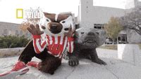 Nebraska vs Wisconsin - Volleyball | More Sports